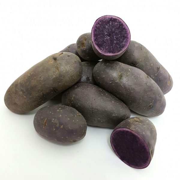 pommes de terre violettes